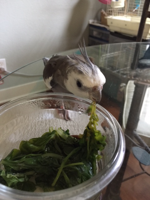 And the chef was....yup, I should have known. 