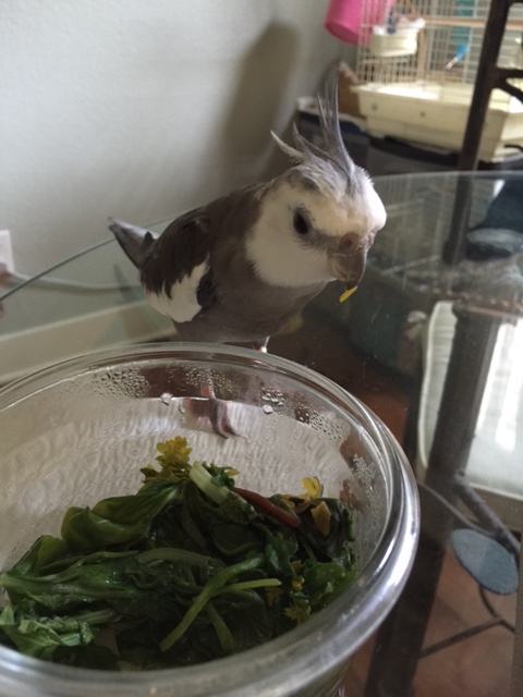 What on earth happened?