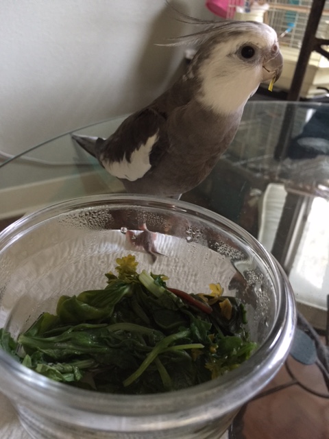 Mom, what part of "stay out of my kitchen" was unclear?