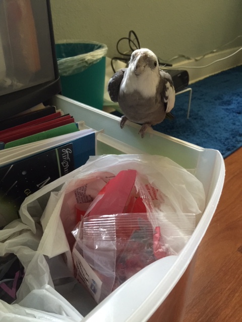 Hey, Mom! "Cuteness!!" 