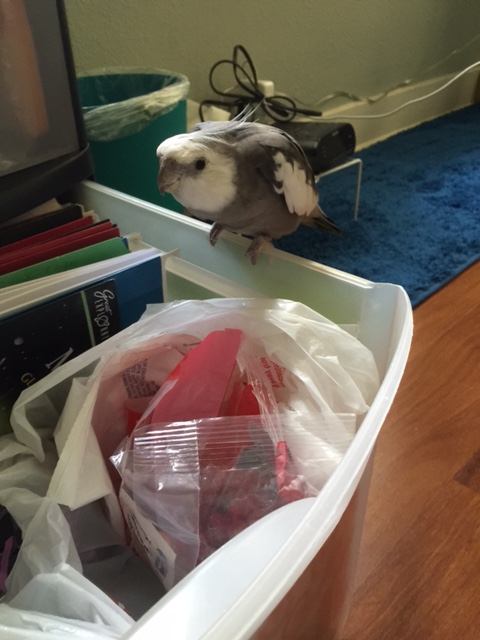 Um, Mom? Mom. Moooommmm. 