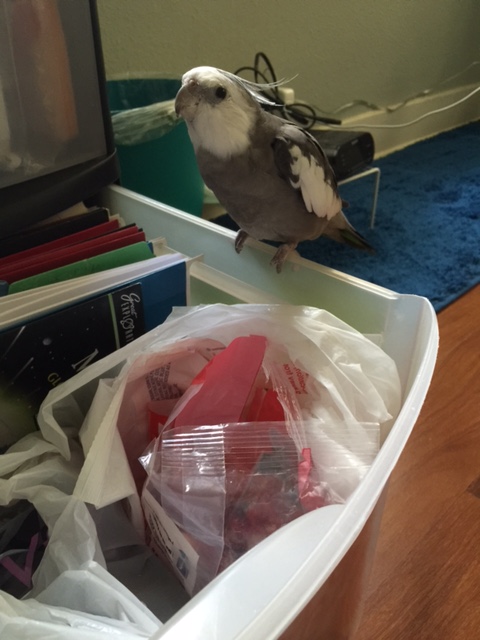 Hi Mom. Yes, are are scheduled to take inventory of supplies for my Love & Feathers Shop this morning.