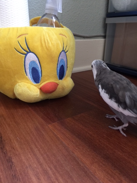 Oh! Well, hello there!