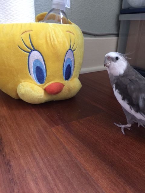 It's okay, Mom - I've got this.