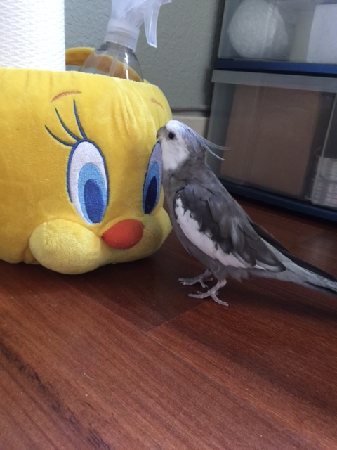 And you are from.....wait, don't tell me. Let me guess.