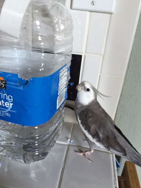 Hi there! What's that? You're here hoping for a total "home makeover?" Well I can see why....er....let's see what I can do to help.