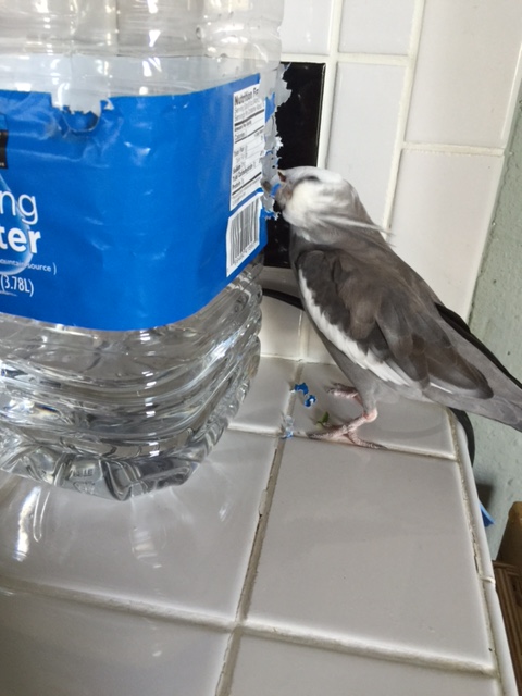 Just a little (lot) more off this side....