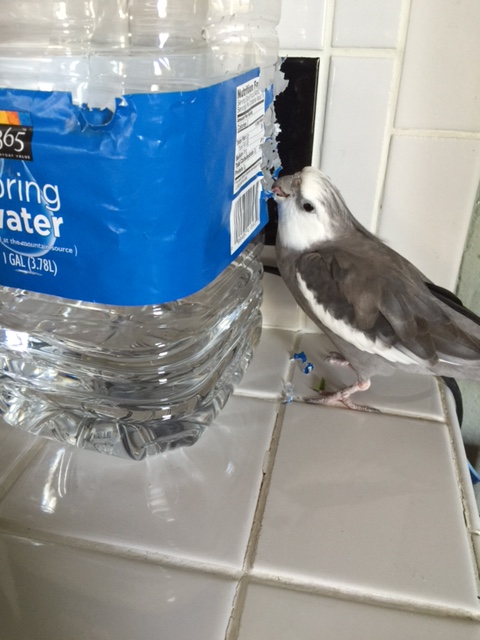 Now we're making some progress....this blue thing just really doesn't do you any style favors.