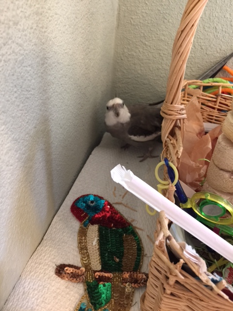 And they'll pay double the price if I pose with the finished work?