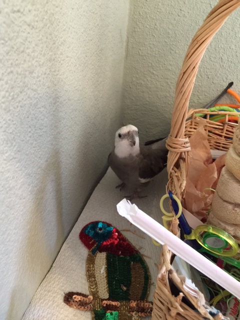 In that case, I'd say it's looking pretty "done" to me!