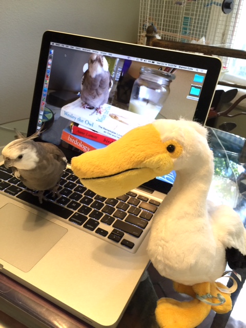 Mooooommmmm........!