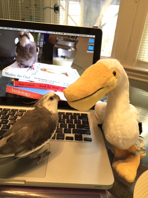 Hmmm. Well, well, well. What have we here?