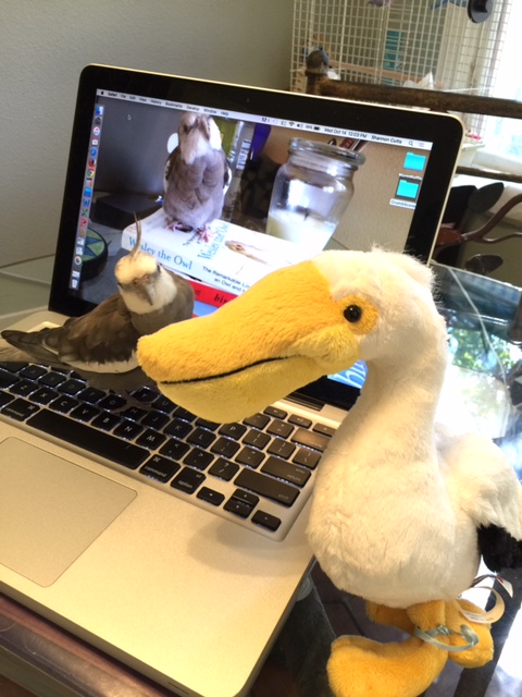 Wha....? I know you didn't just say, 