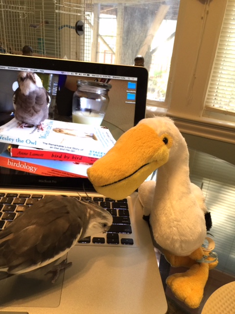 But wait. I sense a large white disturbance in the Force.....