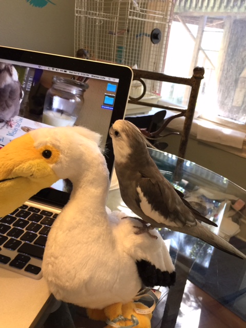 So let's start with a lesson I like to call 