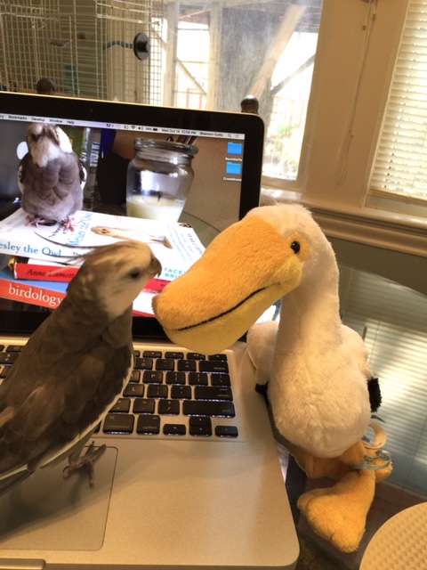 And what is your name? Better yet - how did you get past my high-level Mommyguard security service?