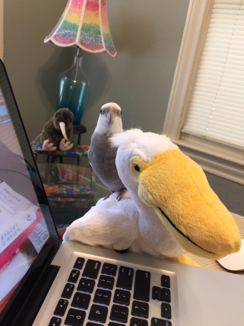 Ok, class - now, based solely on what you see in front of you, who would you guess is in the "top spot" in our household pecking order?