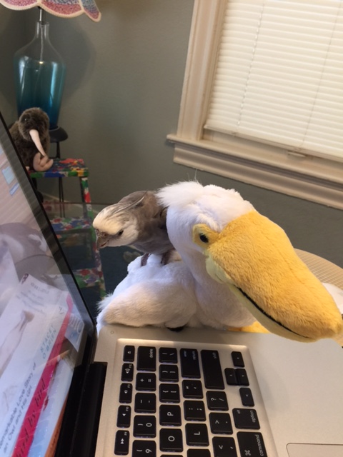 And the visual aid is all set up to go - good.