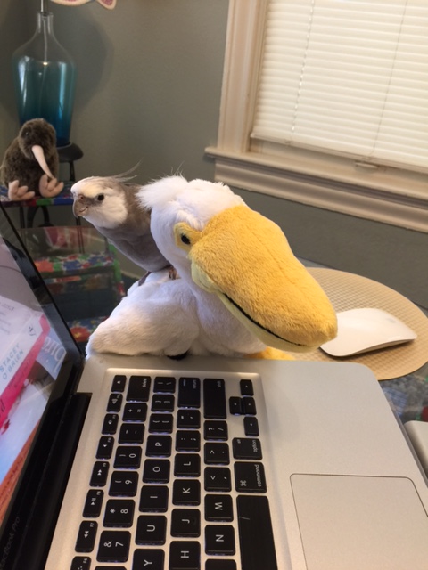 Class dismissed - but be sure to work on your homework, which is to fully memorize today's lesson....