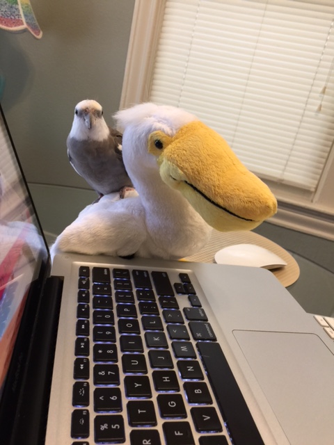 Good - you're right on time. Very prompt - I like that.