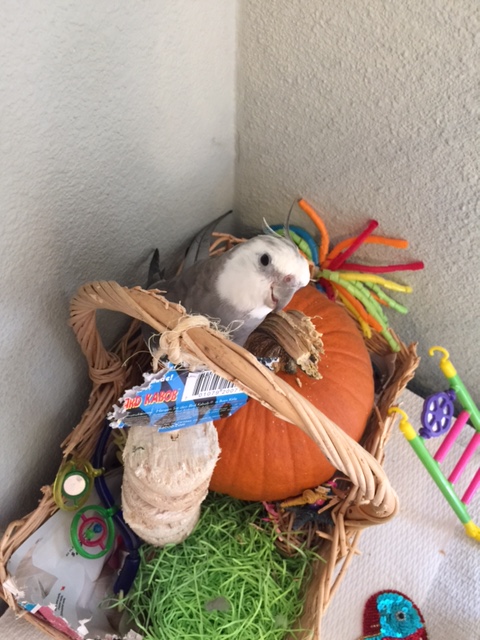 An "artist shot" with the work-in-progress? Sure, that's a good idea, Mom. 