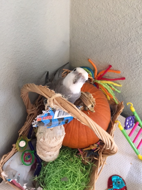 A shot featuring "cuteness?" Coming right up!