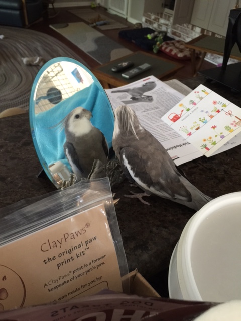 And you'll double her offer, Grandpa? 