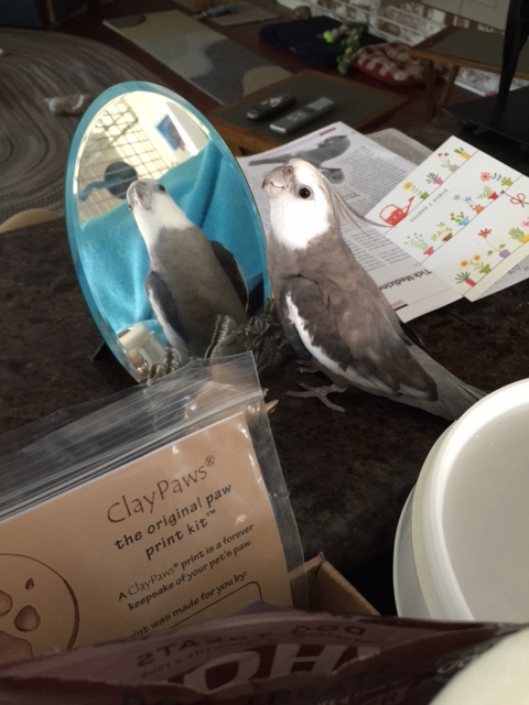 Sold! The lucky winner is - Grandma!