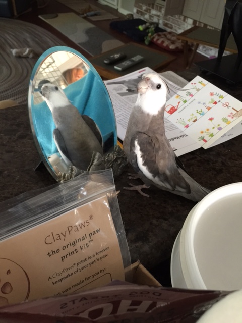 Now that's what I call negotiating!!