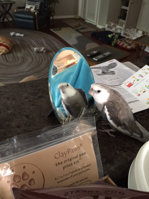 What's that, Grandma? You'll match my 10 waffles and add another 5?