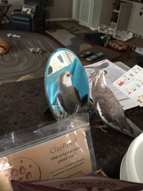 "One waffle?" What do you mean, "one waffle?"