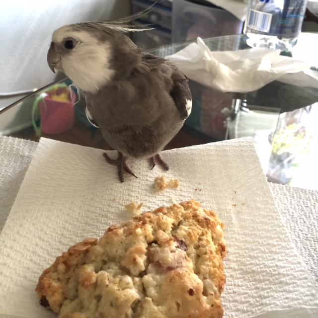 A surprisingly far trajectory on that one....!