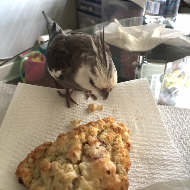 Wow - well this sure looks delicious.