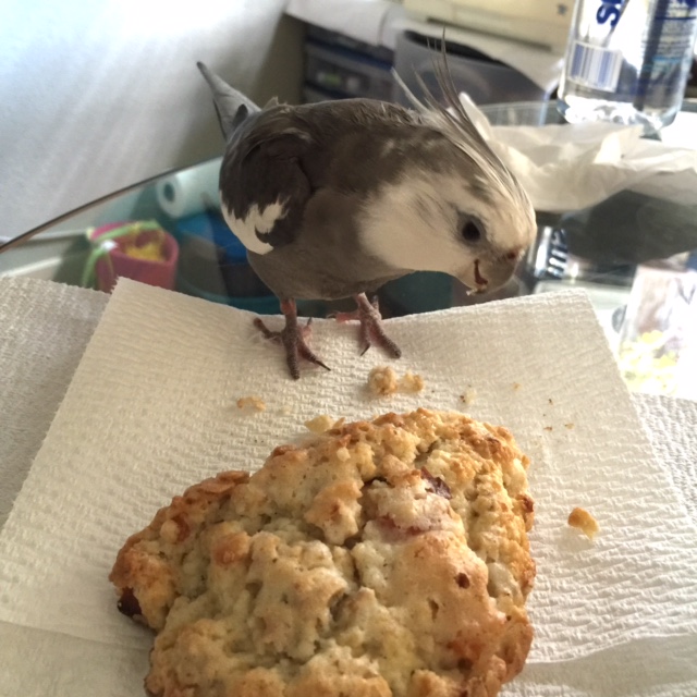 I think I'll start with this crispy corner over here...