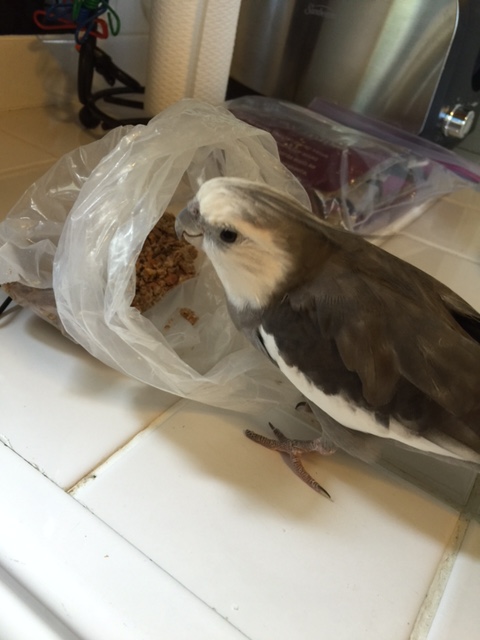 What Mom? These fans have invited me to join them for breakfast?