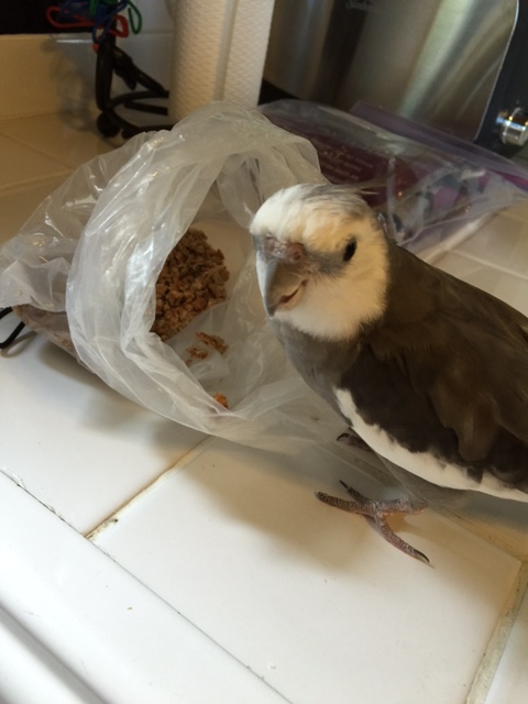 No - we're good, Mom - we're just getting to know each other.