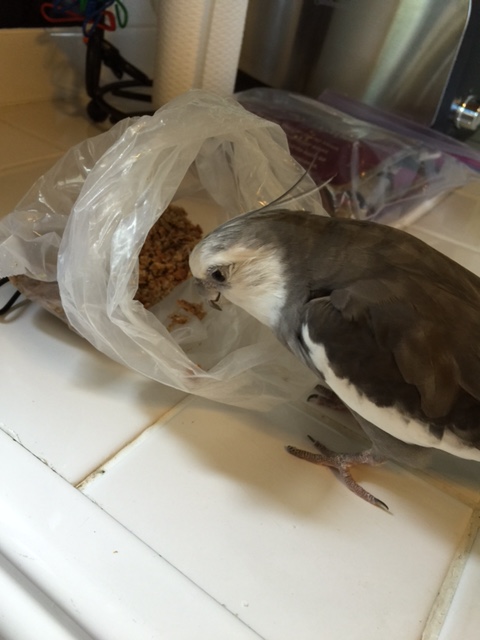 Well hi there! You like bite-sized and crunchy....I mean, nice to meet you too!