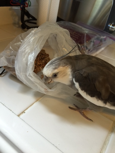 So who wants to go first - you?