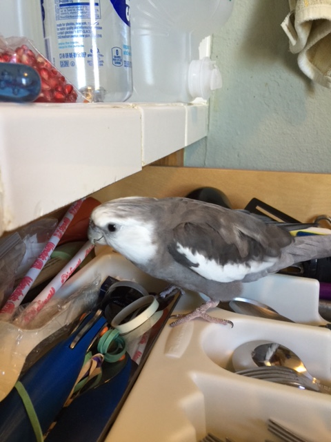 It is fun to just piddle around as a private citizen, nothing special going on here folks....