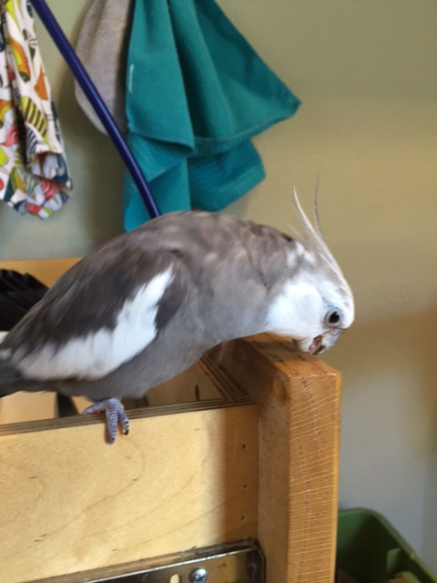 Gosh I'm wiped after the fan club visit. I sure am glad I can have some off-camera time now. 