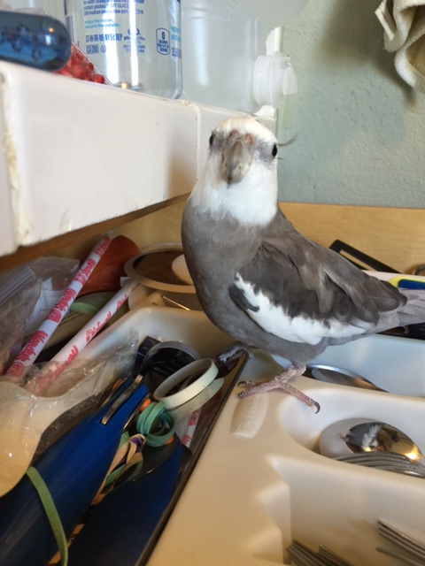 But...wait a minute...that better not be....