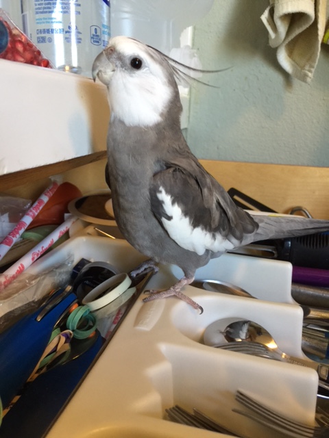 I cannot believe it. Yes, that is distinctly a small rectangular flashing thing I see in her hand, too.