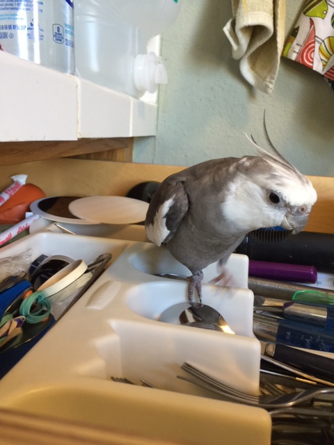 You know, I seem to remember reading about an effective technique celebrities use for warding off unwanted attention.