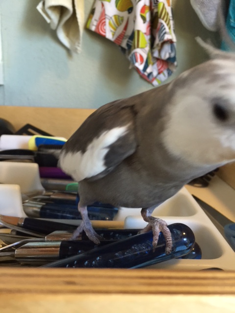 Now if I could just remember what they called it....