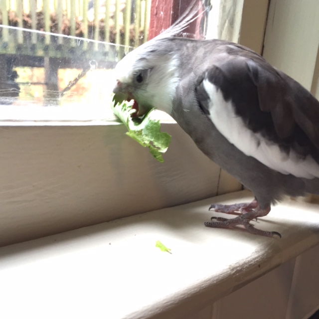 What's that? Yes, you are doing great - clearly you are a natural!