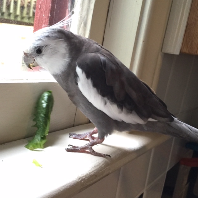 I knew it! Well it is an honor to consume....I mean meet....you too!