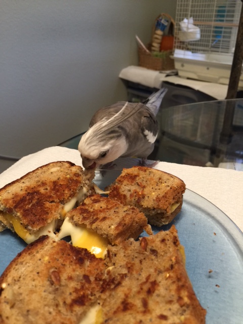 It's a darned good thing I was so quick to claim it....now where was I...?