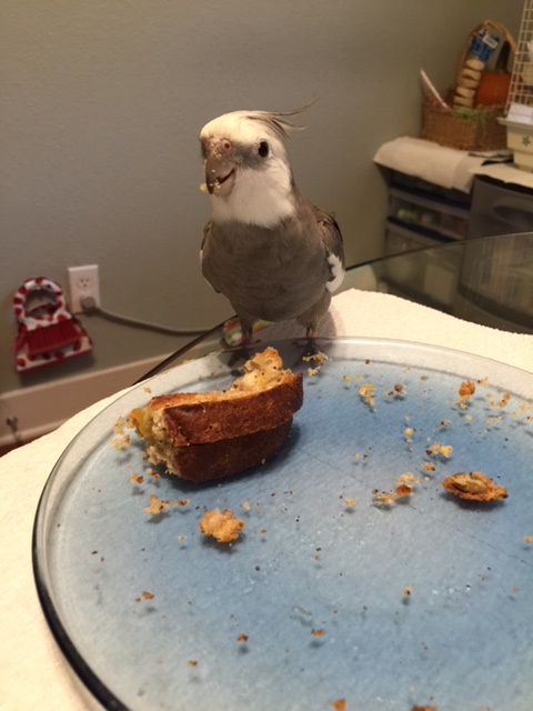 Hey, Mom! Check out how far I can fling these cheesy bits!