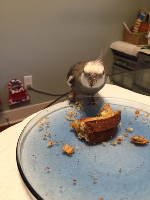 And of course I have my own way of dealing with uninvited poachers....