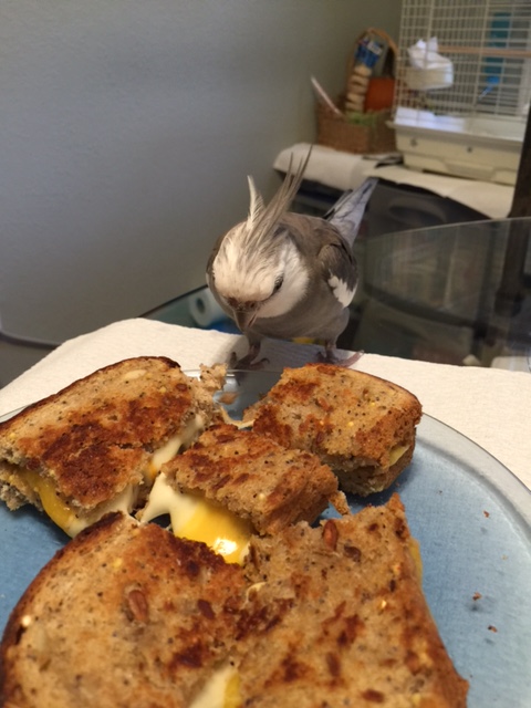 Oh boy oh boy! This looks amazing! Clearly it must be for me.